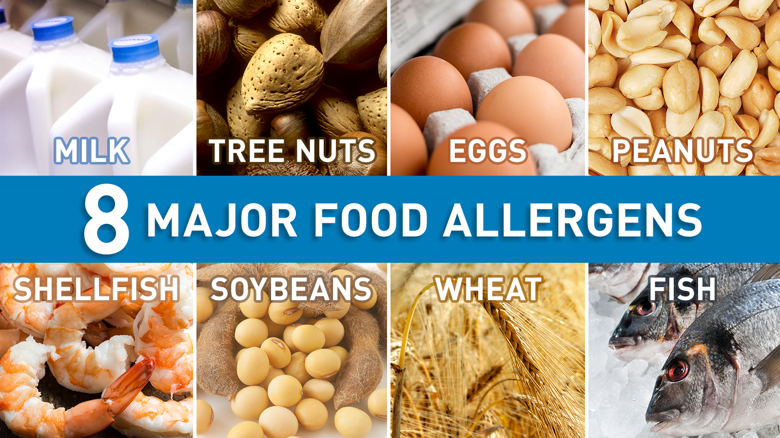 New From Zenput Use Allergen Labels To Protect And Inform Customers 