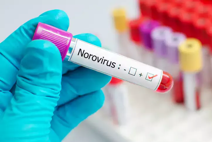 Norovirus positive blood tube